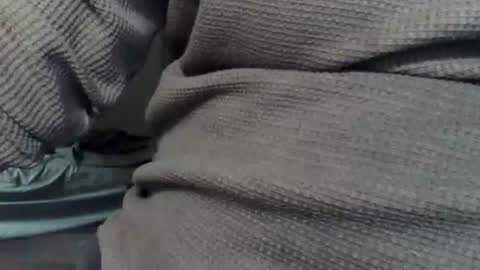 Snapshot of wolfreapsurass chatting on 24, 2, 2026 wolfreapsurass online show from 24, 2, 2026
