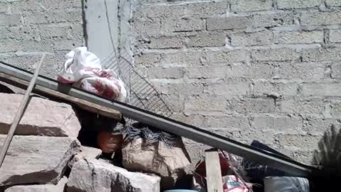 WolvyGalan online show from 20, 1, 2025