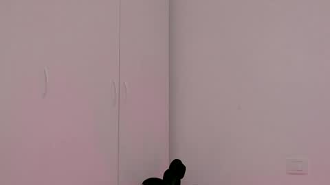 Amalia online show from 6, 3, 2025