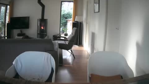 woodwurm and Snoeske online show from 19, 2, 2025