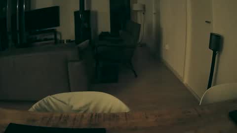 woodwurm and Snoeske online show from 10, 11, 2025