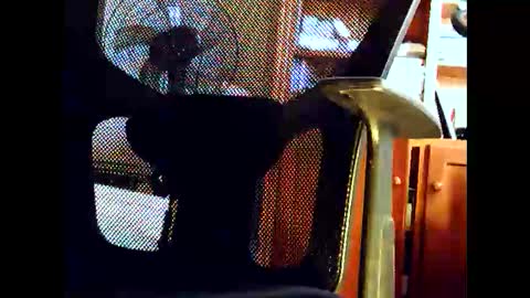 woodyforyou2 online show from 19, 1, 2026