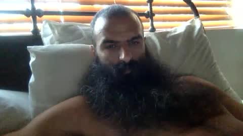 woof_wolf37 online show from 2, 2, 2026