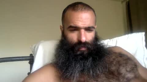 woof_wolf37 online show from 27, 2, 2026