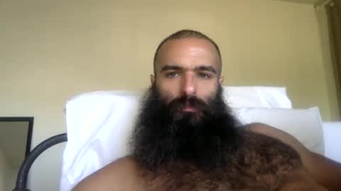 woof_wolf37 online show from 17, 3, 2026