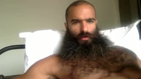 woof_wolf37 online show from 10, 5, 2026