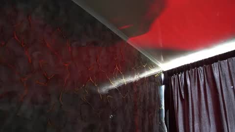 Woondeer online show from 2, 2, 2026