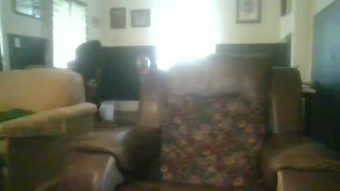 Snapshot of woperator3 chatting on 4, 12, 2024 woperator3 online show from 4, 12, 2024