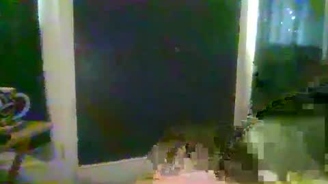 Snapshot of woperator3 chatting on 8, 12, 2024 woperator3 online show from 8, 12, 2024