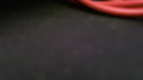 wrangleat0r online show from 10, 2, 2026