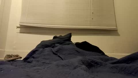 Tslexislut online show from 17, 4, 2026