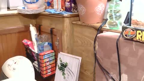 x2kayx2 online show from 15, 1, 2026