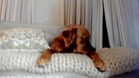 Snapshot of x_lily_x chatting on 21, 2, 2025 Lily online show from 21, 2, 2025