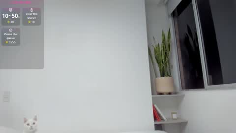 Xavier online show from 19, 3, 2026