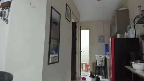 xdreamangel online show from 27, 1, 2025