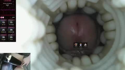 xoxowtf online show from 9, 3, 2026