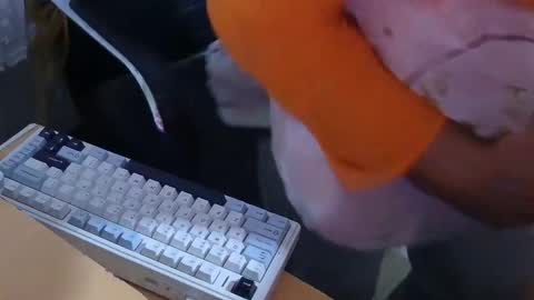 xrokettt online show from 15, 11, 2025