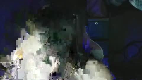 Pixie  online show from 11, 6, 2026