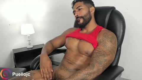 Stipp3r online show from 5, 6, 2026