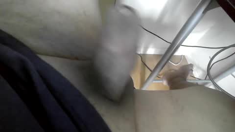 Snapshot of xxenryxx92 chatting on 15, 6, 2026 xxenryxx92 online show from 15, 6, 2026