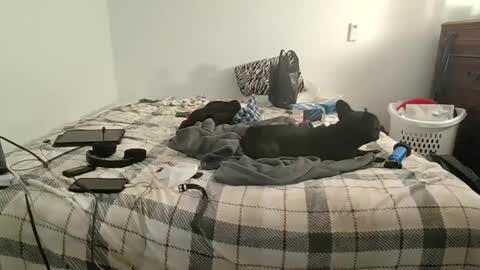 XxJasoncxX online show from 10, 12, 2024