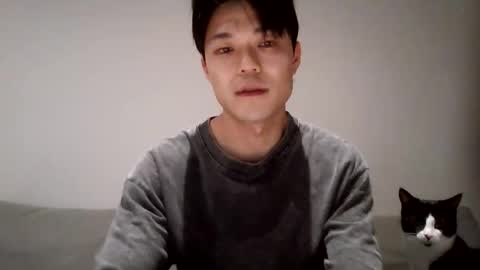 Cocktail online show from 4, 10, 2025