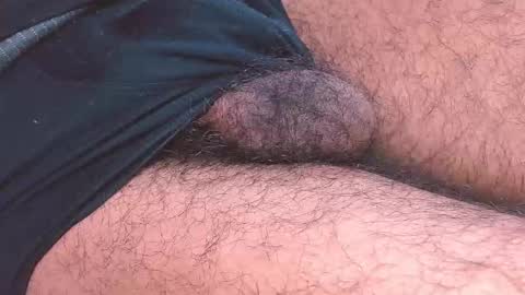 Prince online show from 8, 1, 2026