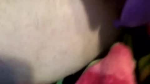 XxXCoupleOrgasmicXxX online show from 4, 4, 2026