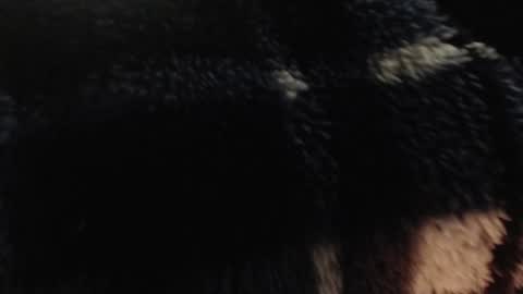 xxxking89 online show from 14, 12, 2024