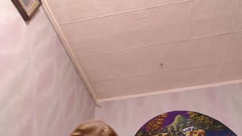 isa and gonzo online show from 7, 3, 2025