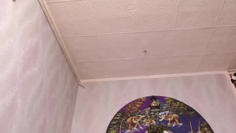 isa and gonzo online show from 16, 12, 2025