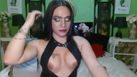 PAMPAM online show from 7, 4, 2026