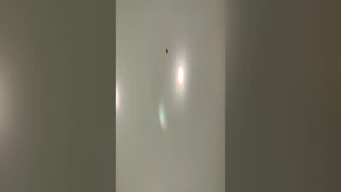 xxxvoidxx online show from 19, 6, 2026