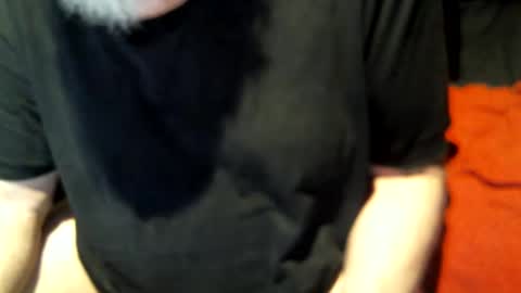 .     y e l l o w s n a k e s       . online show from 24, 2, 2025