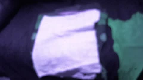 .     y e l l o w s n a k e s       . online show from 15, 12, 2025