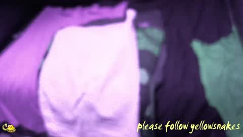 .     y e l l o w s n a k e s       . online show from 17, 12, 2025