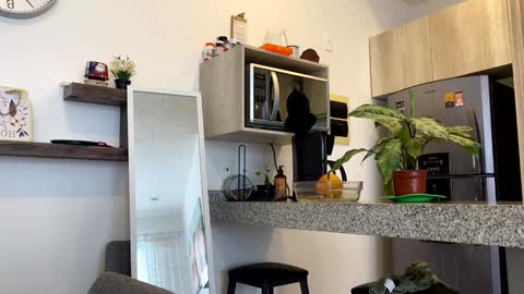 Zlata online show from 2, 2, 2025