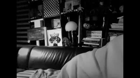 Snapshot of yessex247 chatting on 19, 2, 2026 yessex247 online show from 19, 2, 2026