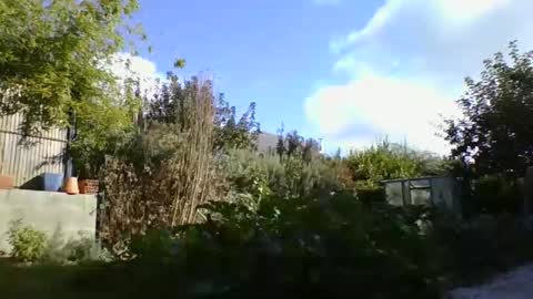 Yoann online show from 9, 10, 2025