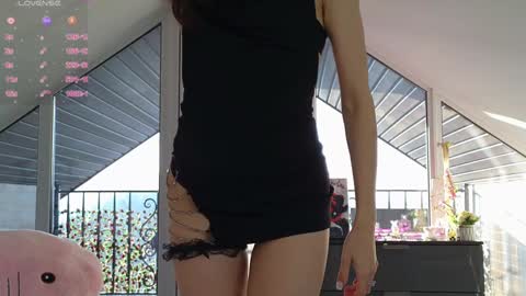  Wilma  online show from 27, 1, 2025