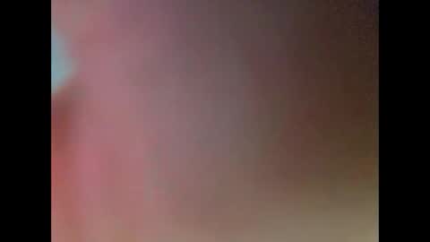 yorks1er online show from 6, 11, 2025