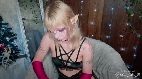 Snapshot of your_gothic_elf chatting on 26, 12, 2024 Stella online show from 26, 12, 2024