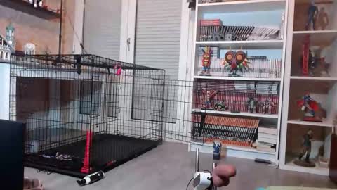 Snapshot of your_sissy_bitch chatting on 19, 2, 2026 Owned by Hell On Heels online show from 19, 2, 2026