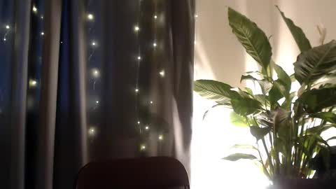 YourDalia online show from 13, 11, 2025