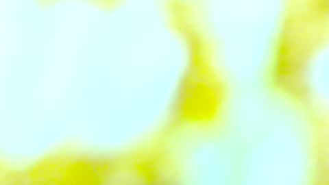Snapshot of yourmynorthstar chatting on 13, 10, 2025 Edging4U online show from 13, 10, 2025