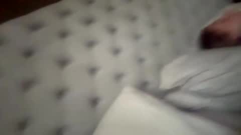 You want us 69 online show from 14, 9, 2025