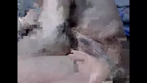 yummy72747 online show from 4, 2, 2026