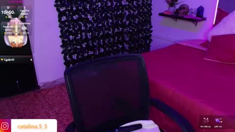 Kata online show from 4, 11, 2025