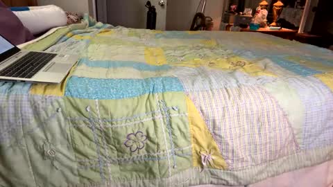 Aiden online show from 6, 1, 2025