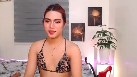 Zai online show from 9, 5, 2026